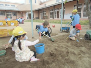 画像：藤棚の花が咲きました