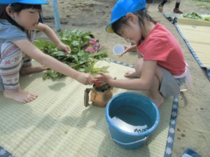 画像：葉っぱで特製のお茶を作ります