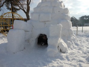 画像：戸外で元気に雪遊び