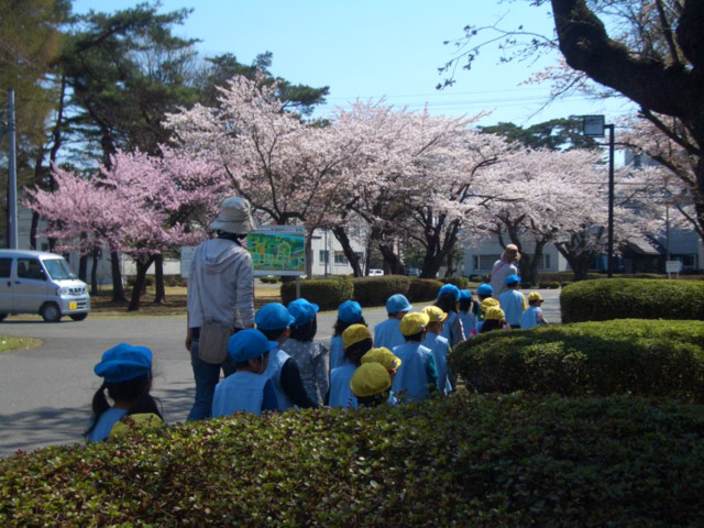 画像：お花見に行ってきました！