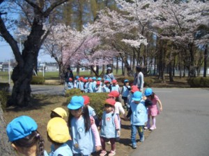 画像：お花見に行ってきました！