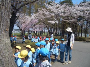 画像：お花見に行ってきました！