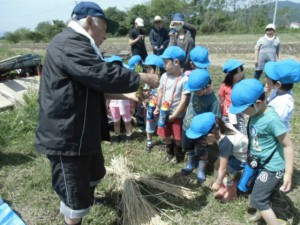 画像：田んぼの先生から植え方の指導を受けます