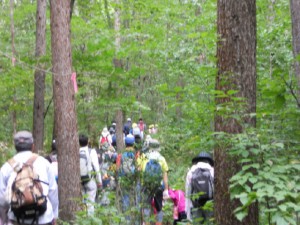 画像：鞍掛山に登りました