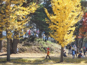 画像：お山に登ってヤッホー