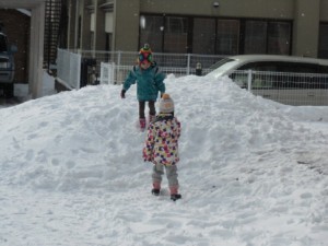 画像：園庭には山！そりっこして遊ぼう！