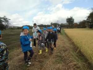 画像：黄金色の田んぼ！あぜ道を急ぎます